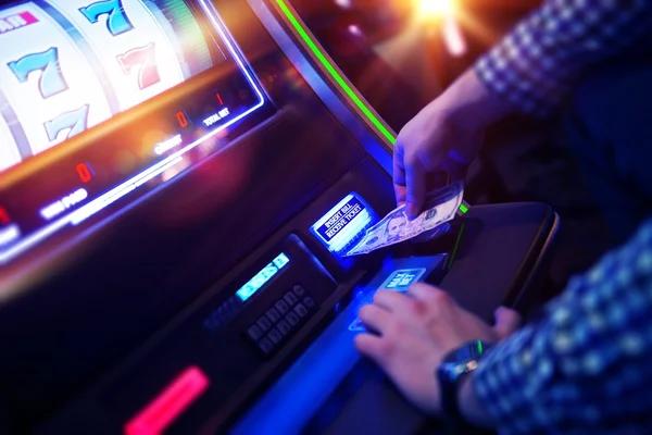 What Players Look for in online sports betting singapore